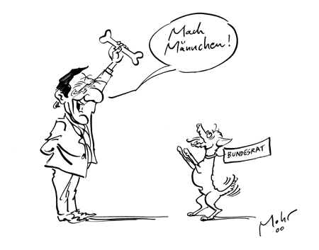 Es kommt auf den richtigen Köder an