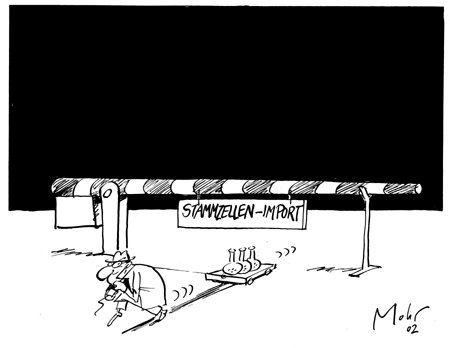 Im Schutze der Dunkelheit
