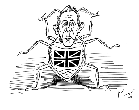 Britische Wanze (Haustier)