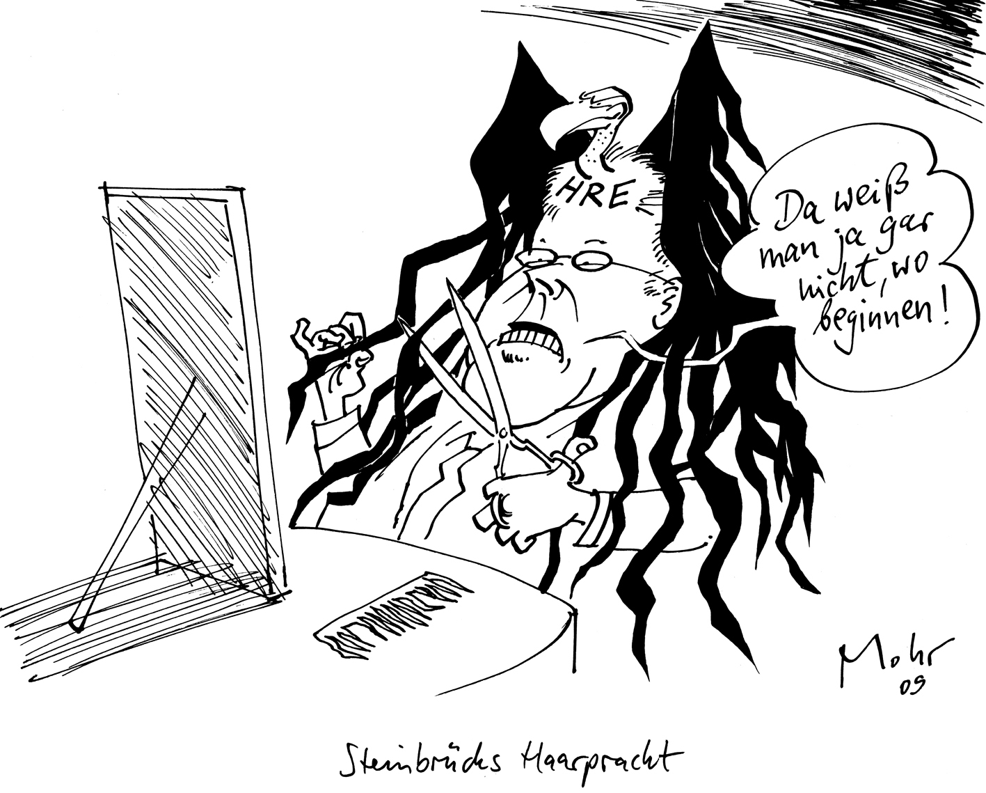 Steinbrücks Haarpracht