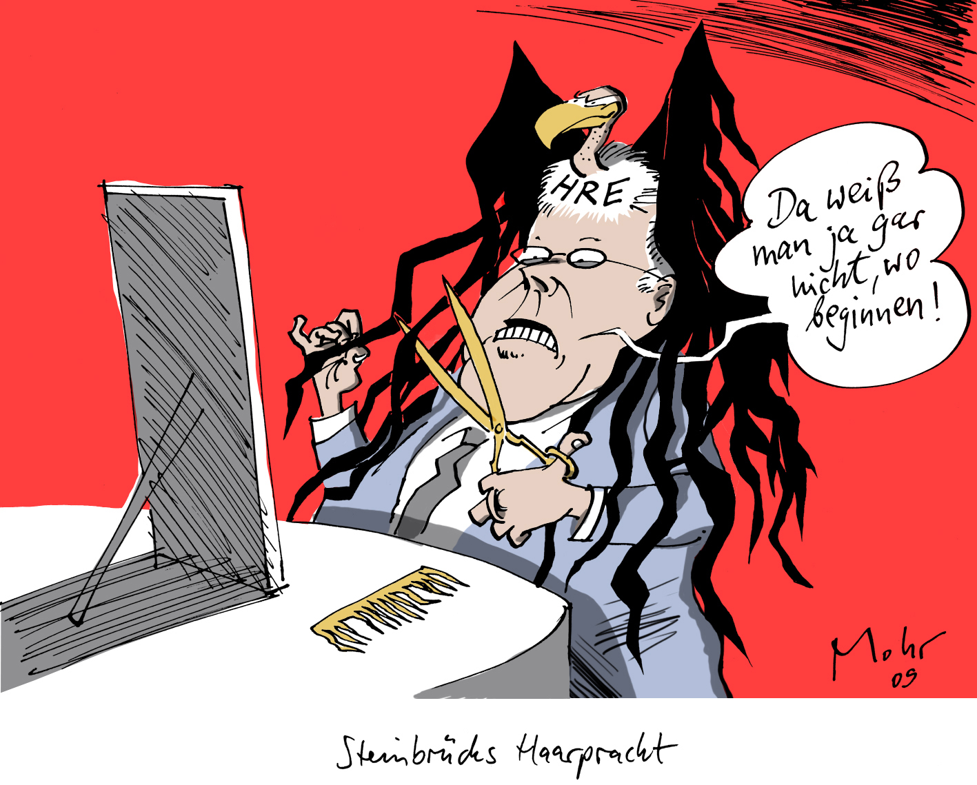 Steinbrücks Haarpracht