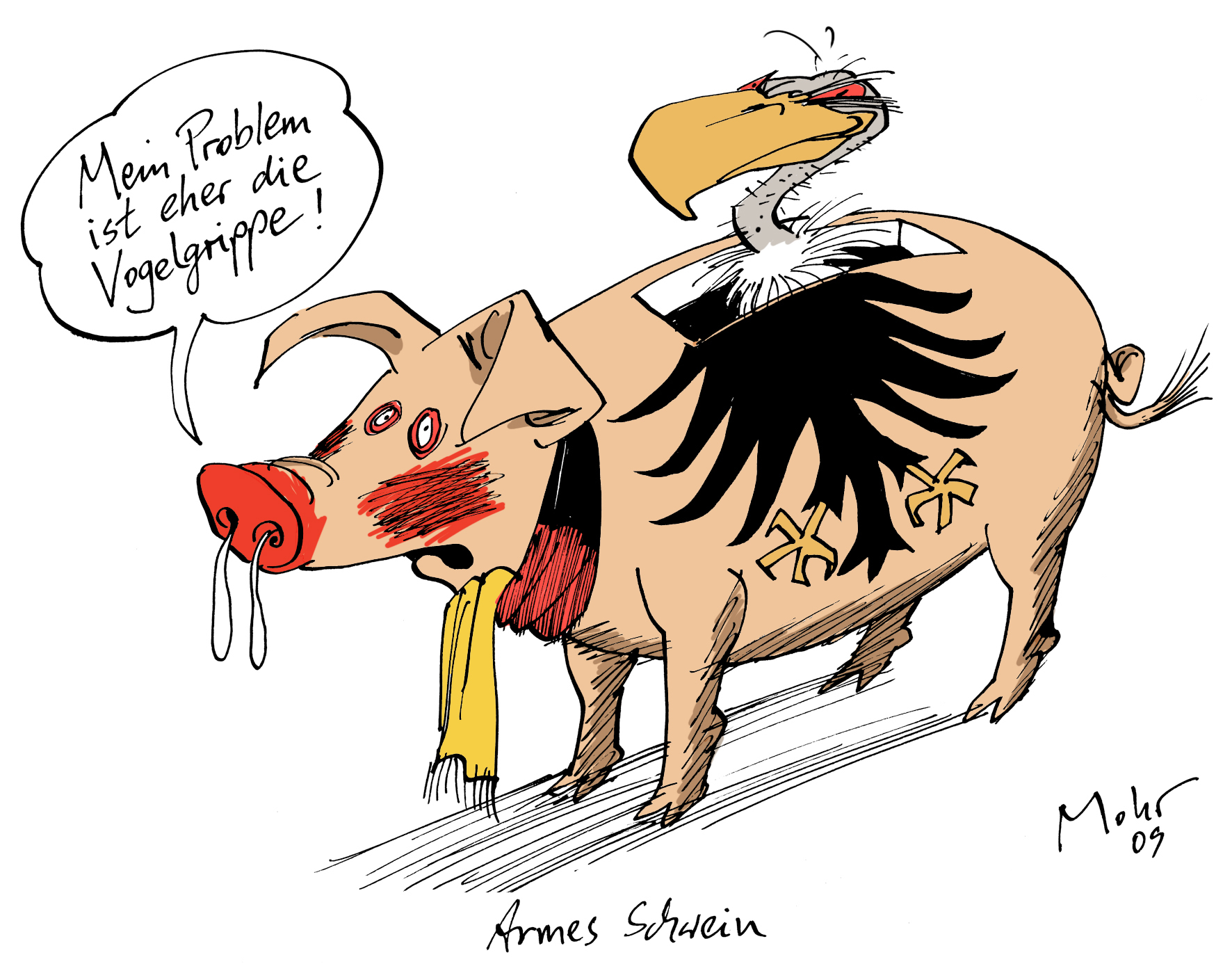 Armes Schwein