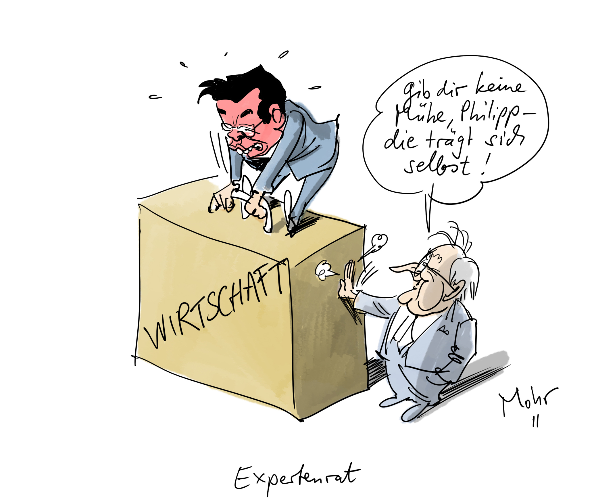 Expertenrat
