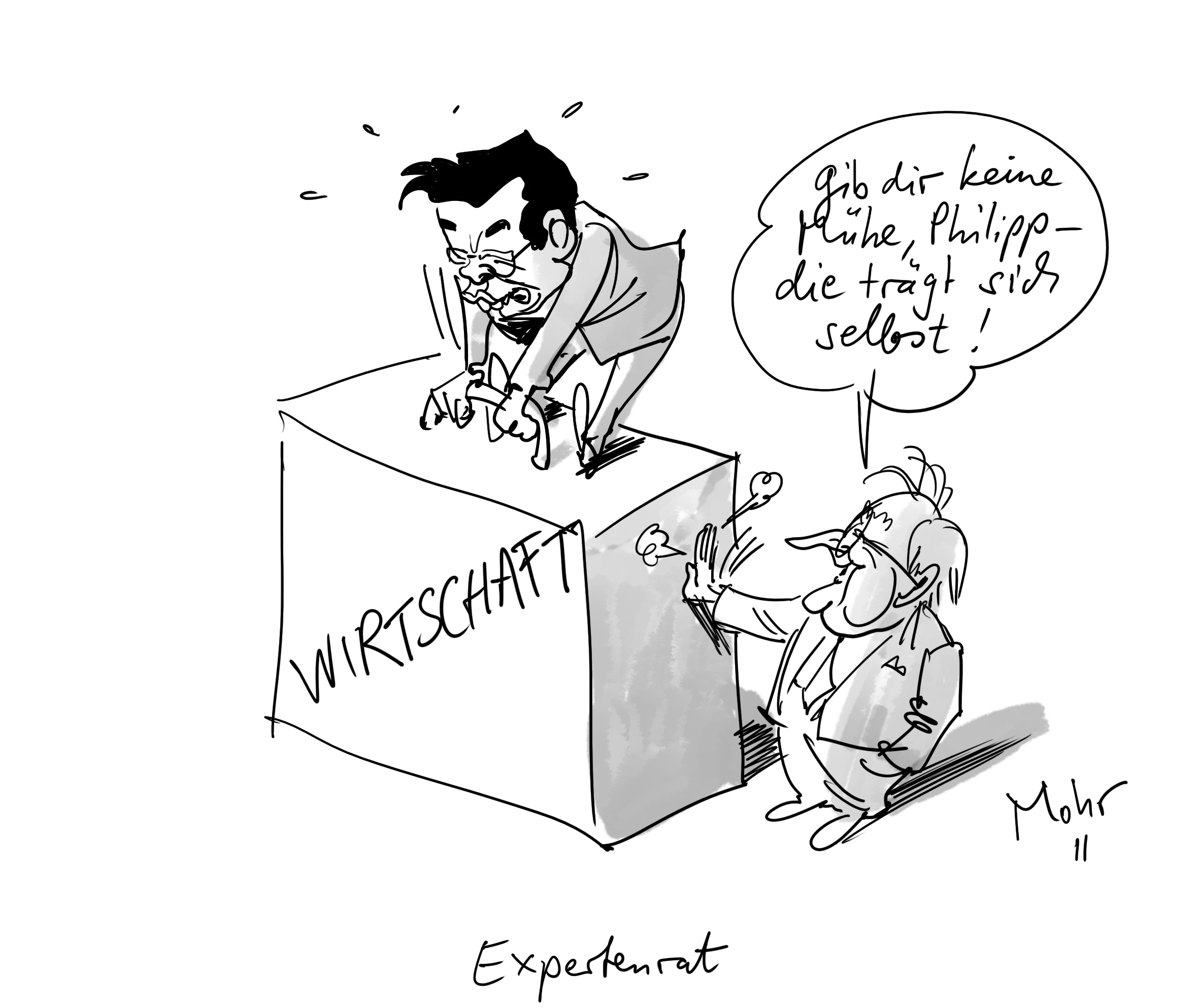 Expertenrat