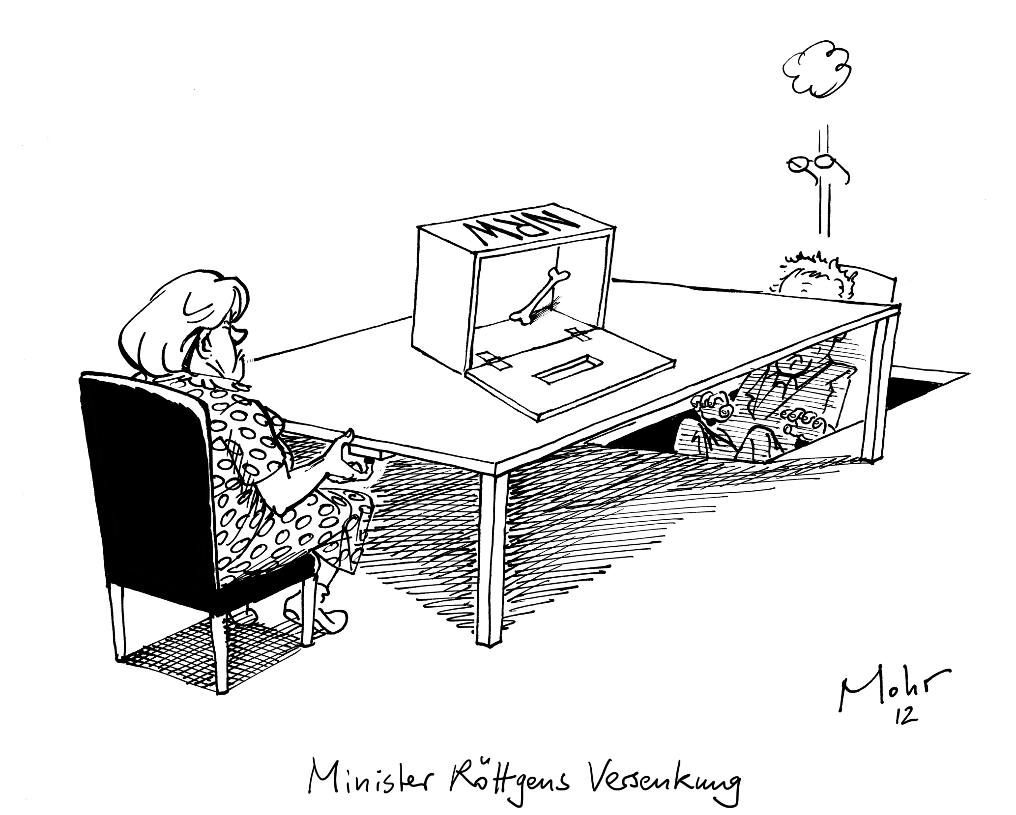 Minister Röttgens Versenkung