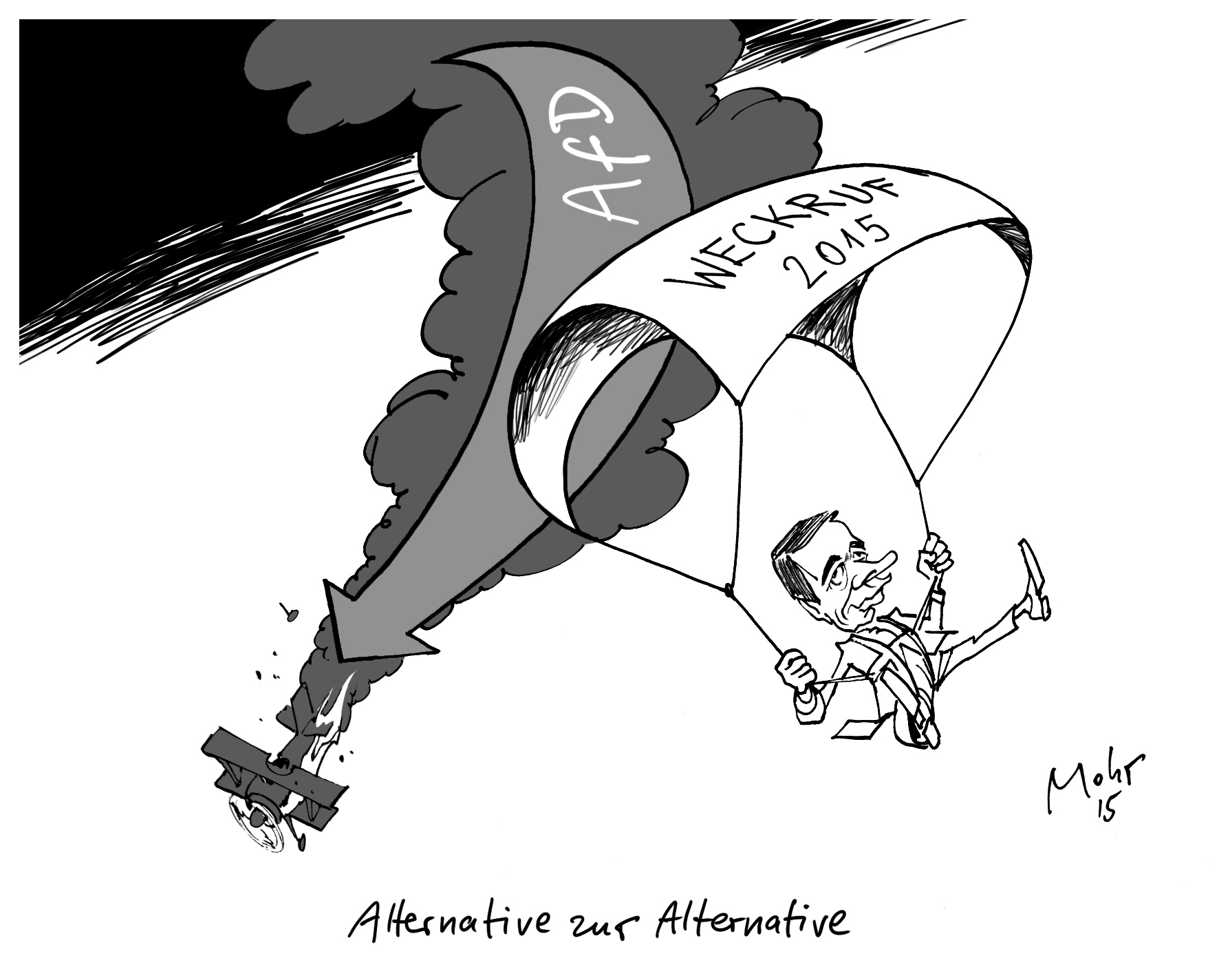 Alternative zur Alternative