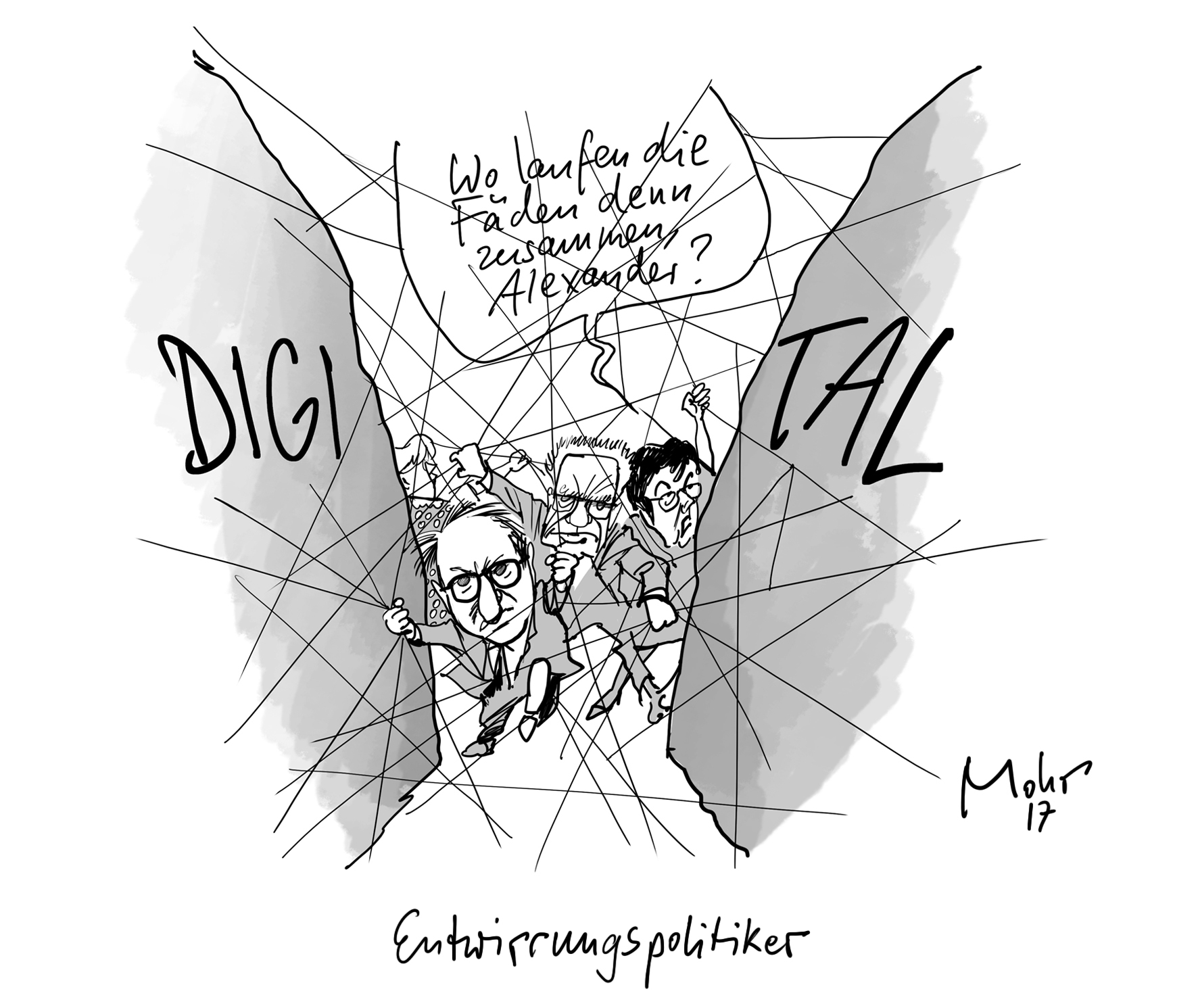 Entwirrungspolitiker